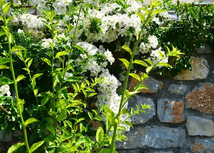 Melina Skiathos Kolios